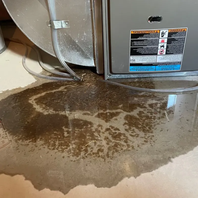 Pipe Burst and Leak Restoration in Nance County, NE