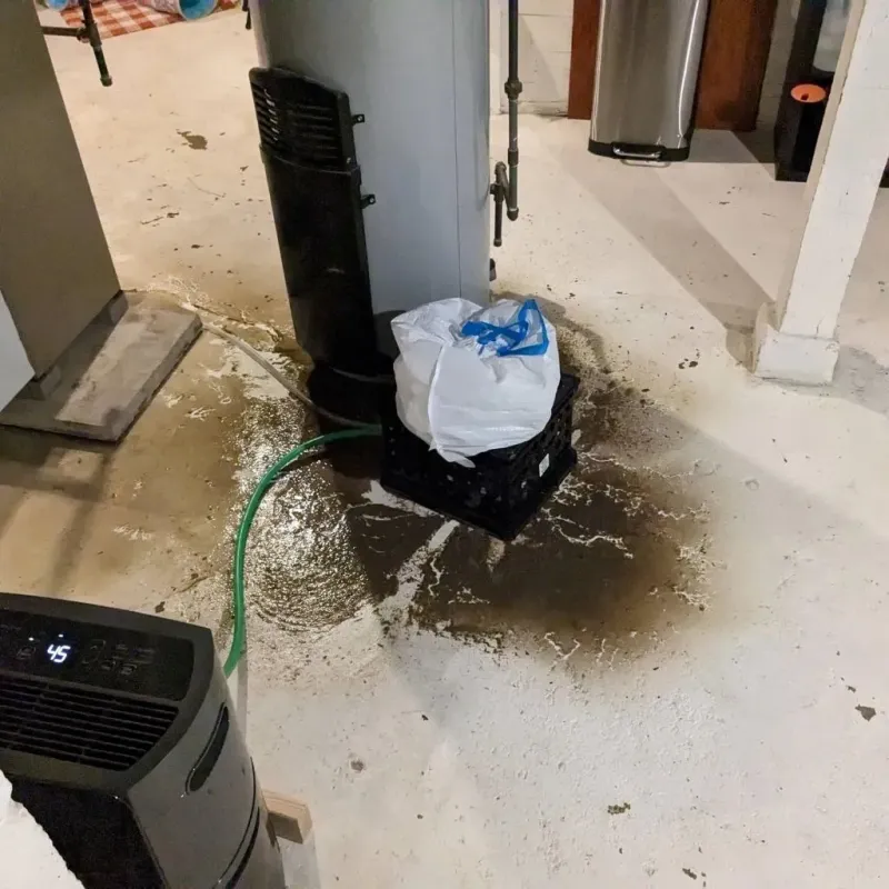 Sewage Backup Cleanup Service in Nance County, NE
